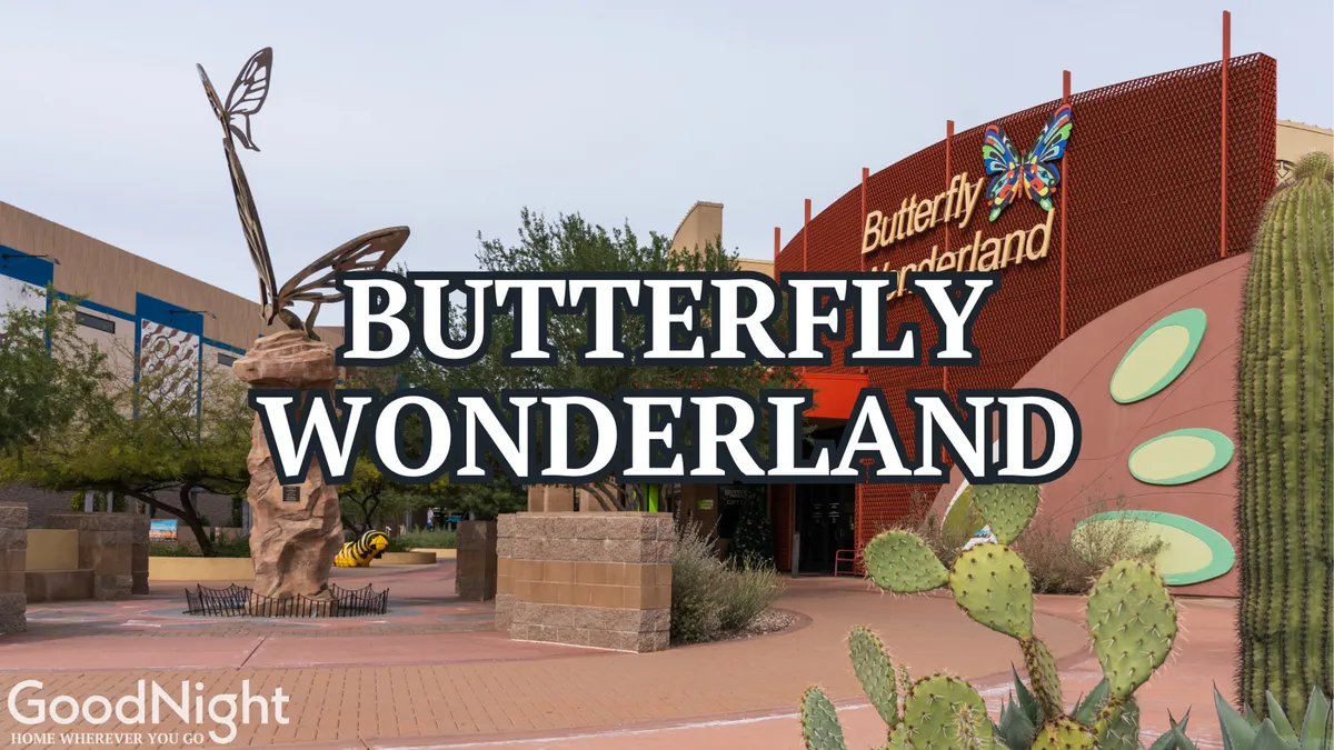 An exterior shot of the Butterfly Wonderland entrance, featuring a playful butterfly sculpture, cacti, and the welcome sign. The scene captures the anticipation and excitement of arriving at a unique family destination, with an inviting and whimsical atmosphere.